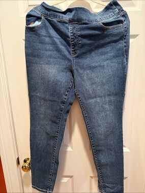 Lane Bryant Dark Blue Skinny Jeans